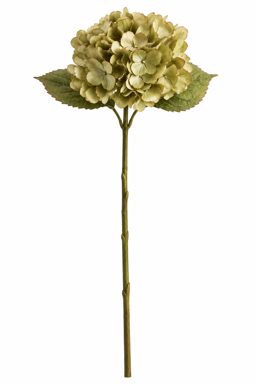 26” Hydrangea Spray – Green Moss