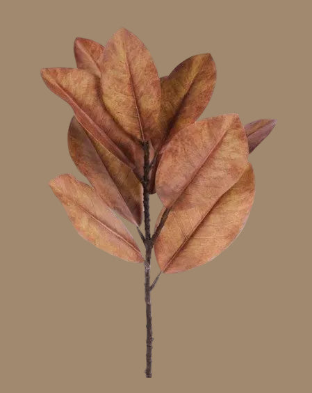 24"H Magnolia Leaf Spray