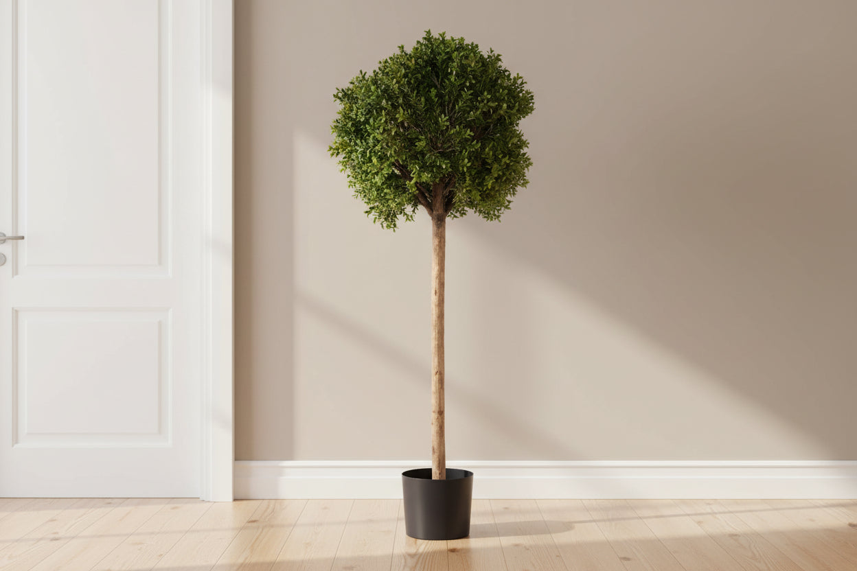 48"H Single Ball Boxwood Topiary