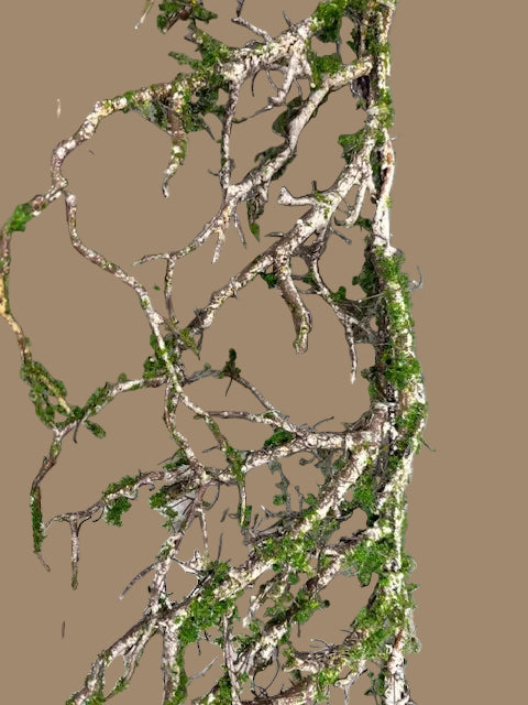 42" L Twig Garland with Moss