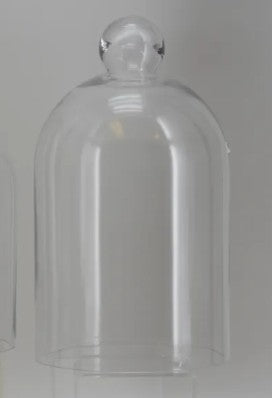 Glass Cloche Bell Jar — Clear Display Dome for Botanicals, Candles & Mantel Decor, 2 Sizes