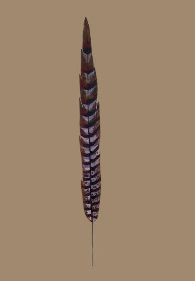 27"L Faux Pheasant Feather w/Wire