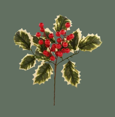 Holly Pick