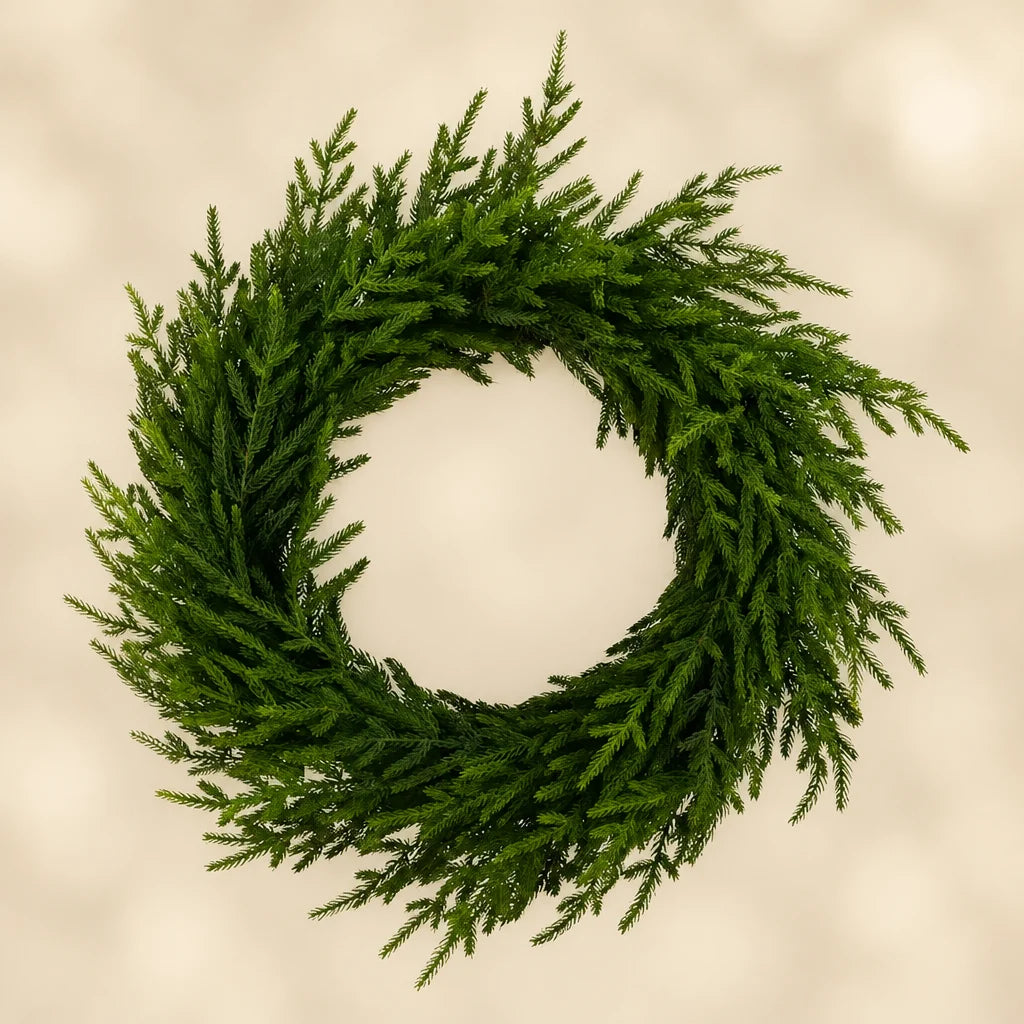 24" Norfolk Wreath