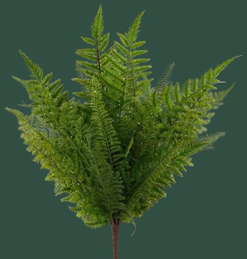 23"L Fern Bush