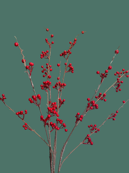 Red Berry Bush