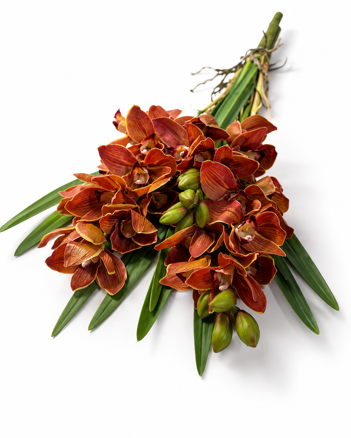 Brown Cymbidium Orchid Spray