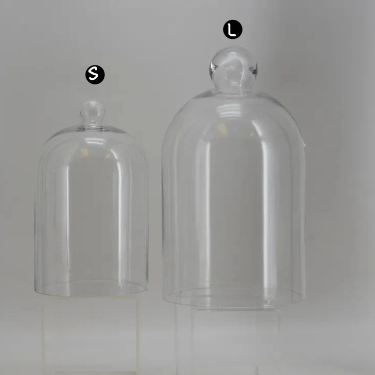 Glass Cloche Bell Jar, 2 Size Options