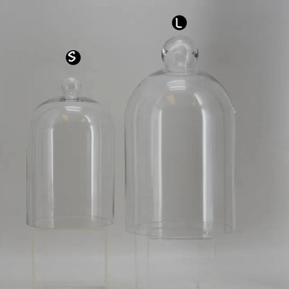 Glass Cloche Bell Jar, 2 Size Options