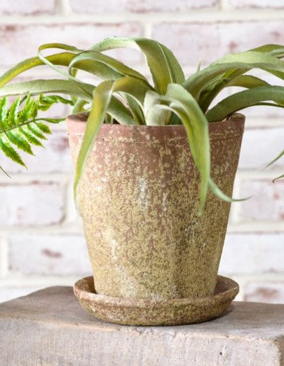 Distressed Terracotta Planter, Size Options