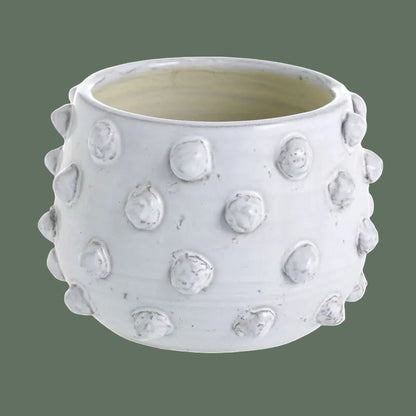 6.5" Fem Rosa Pot