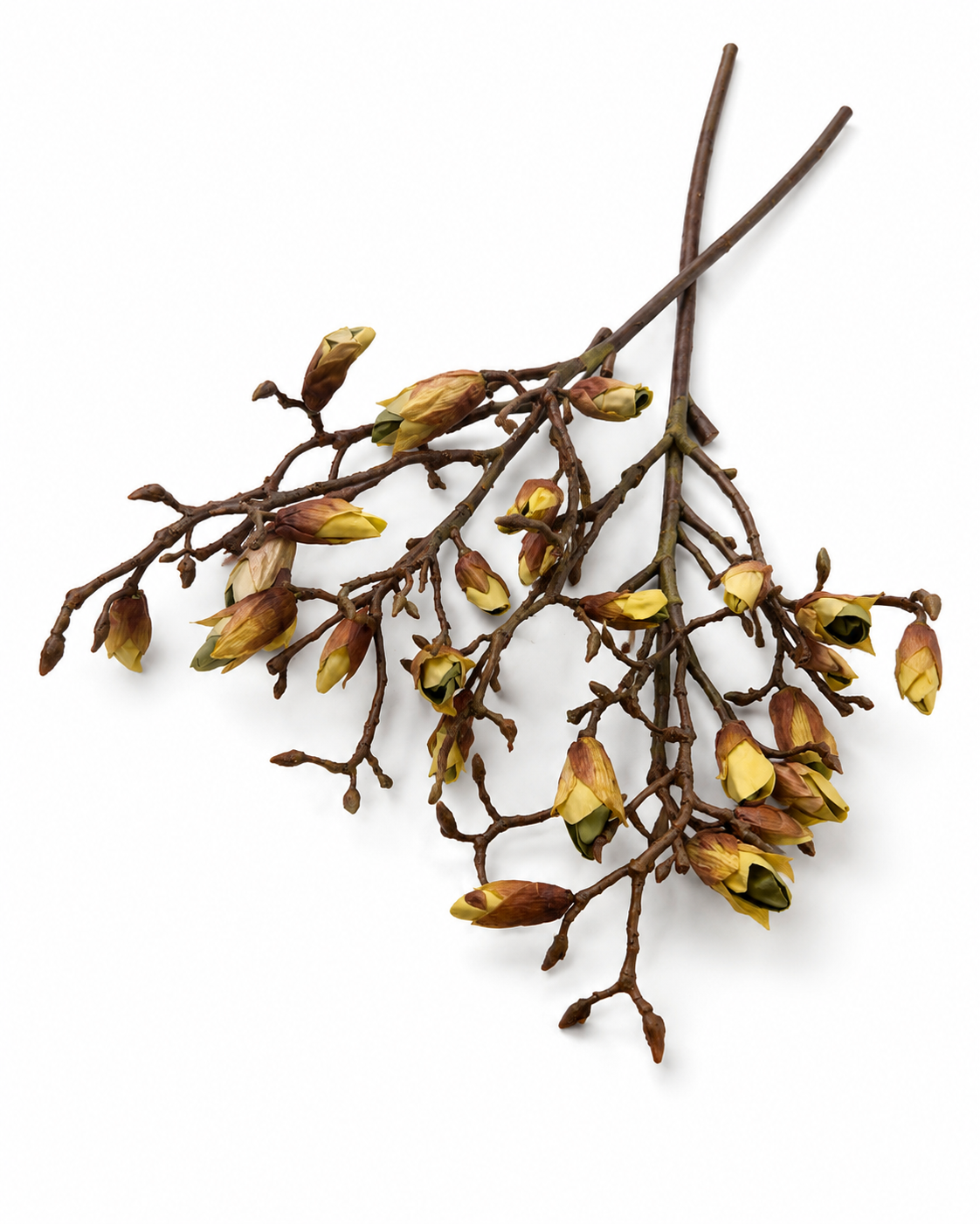 Japanese Magnolia Bud Pick Set of 3