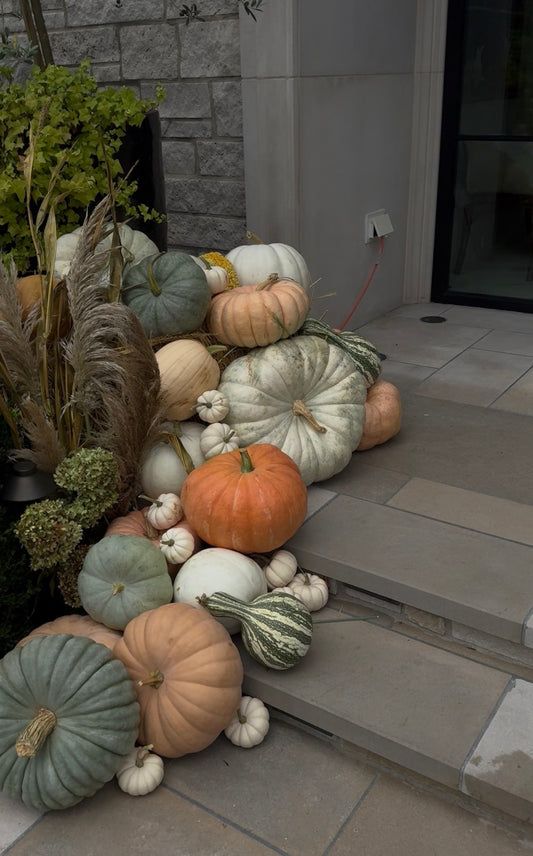 Fall Styling — Harvest Classic