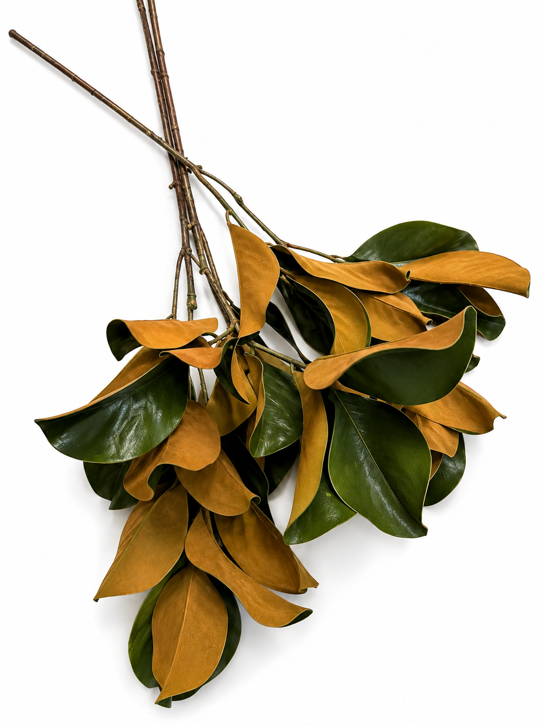 Green Magnolia Leaf Spray 40” - set of 3