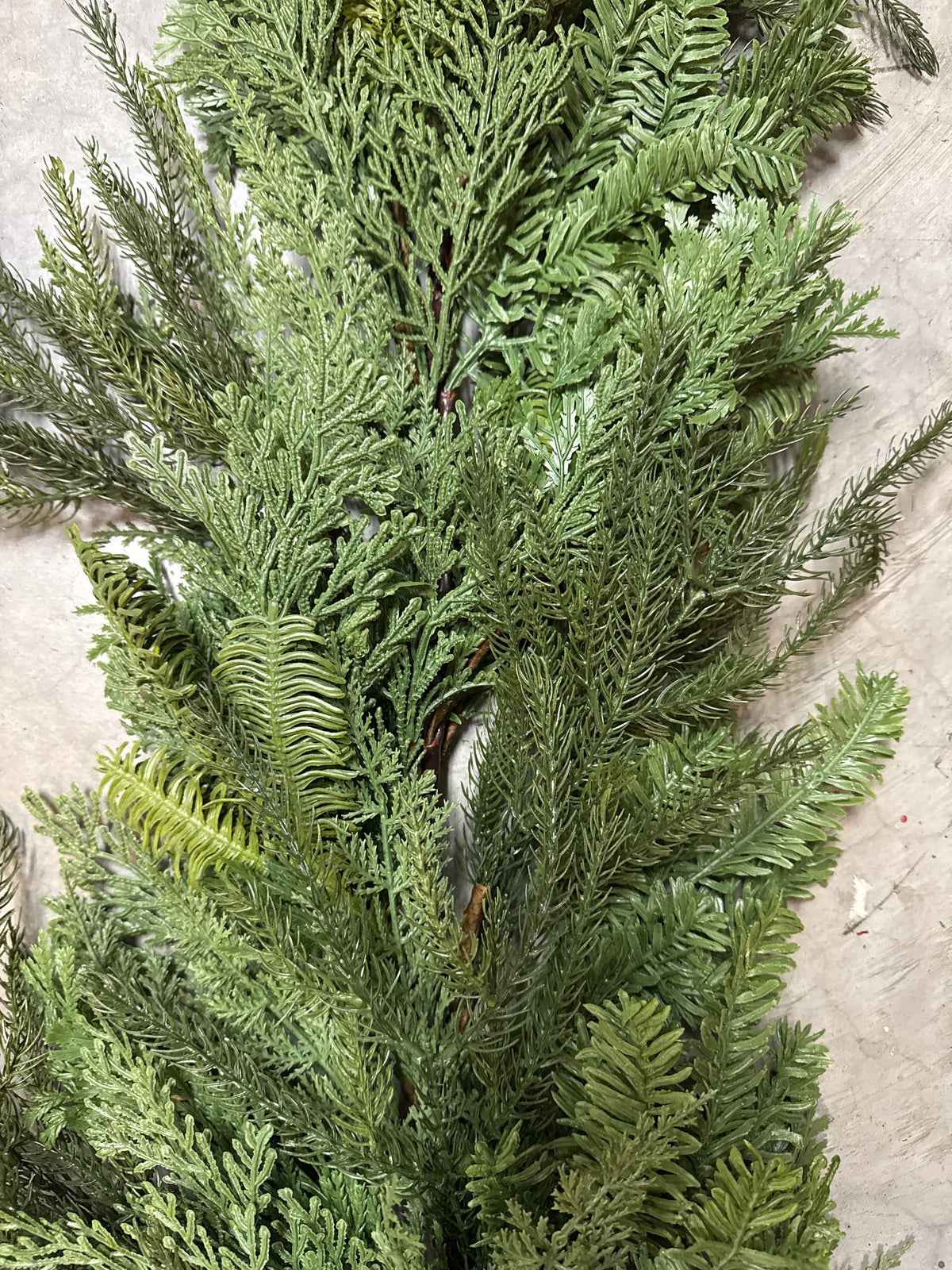 6'L Cedar Mixed Pine Juniper Garland