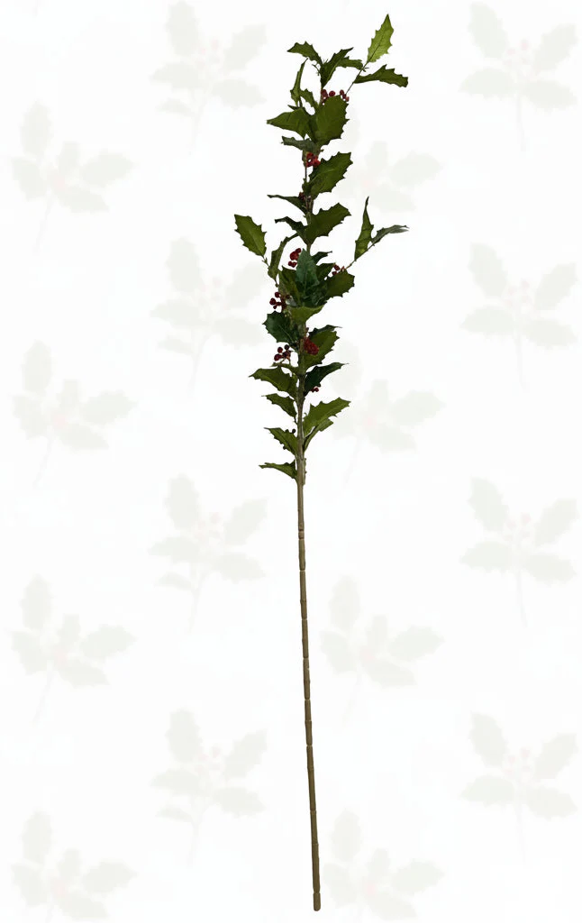 Pre Order Estate Holly Branch