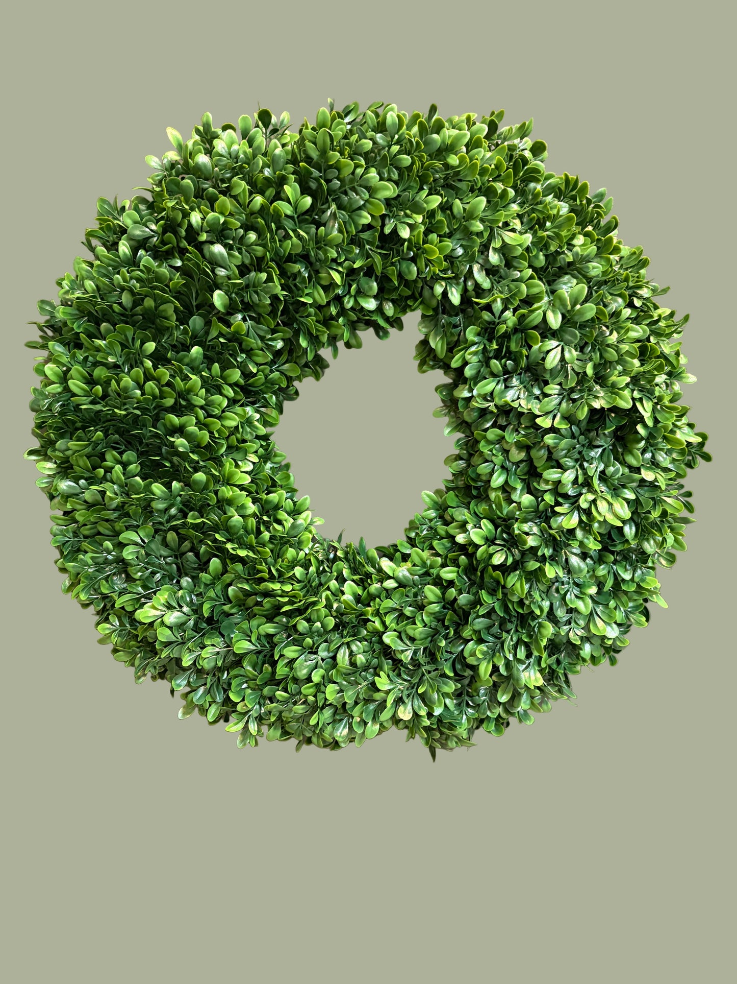 16" UV Protected Boxwood Wreath