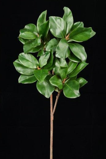 36" Green Magnolia Leaf Spray