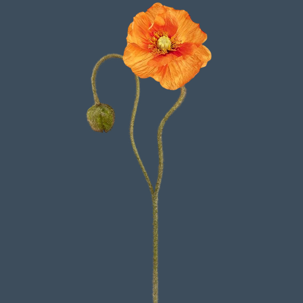 31" Poppy Spray with Bud , 4 Color Options