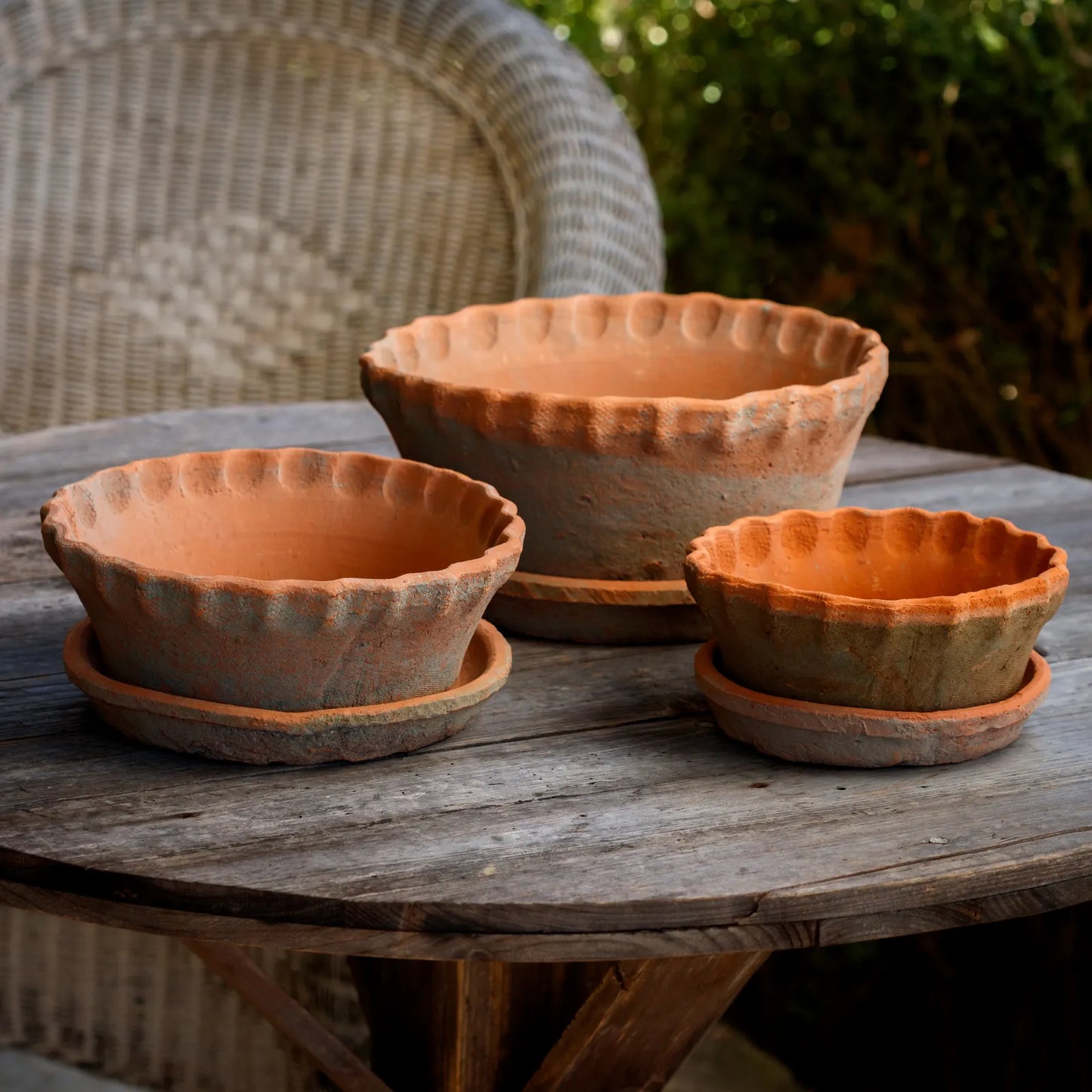 Short Pie Crust Antiqued Red Clay Pots w/ Saucer, 3 Size Options