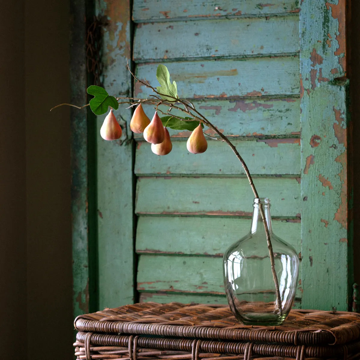 Amber Fresno Fig Stem