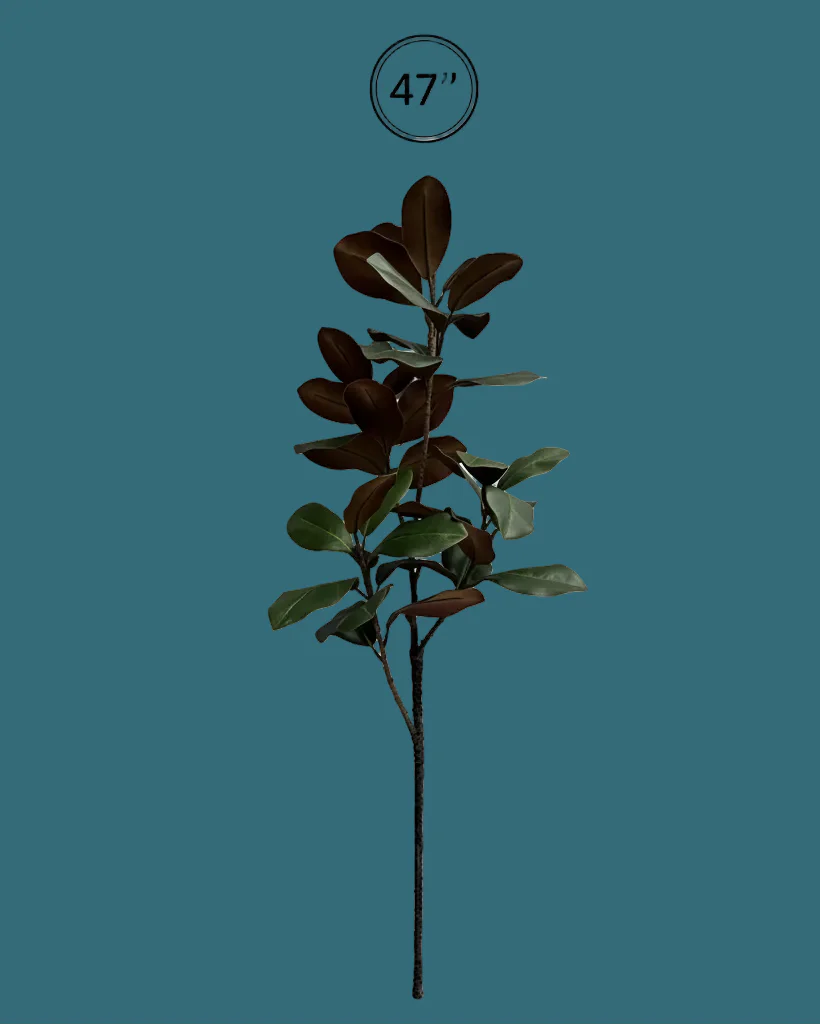 Pre Order Old Southern Magnolia Bough, 2 Size Options