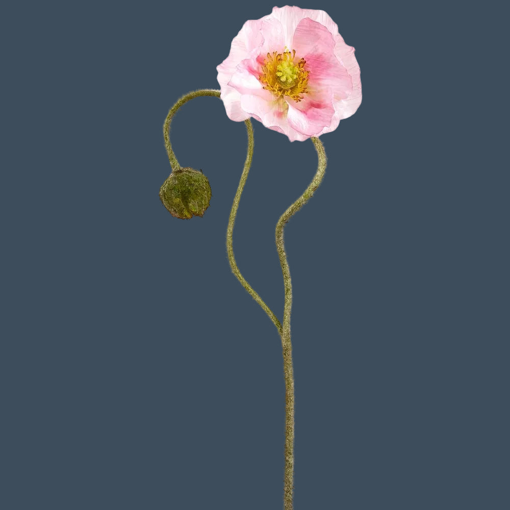 31" Poppy Spray with Bud , 4 Color Options