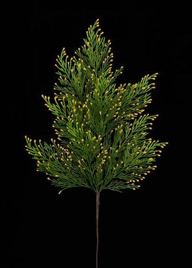 21"L Incense Cedar Spray