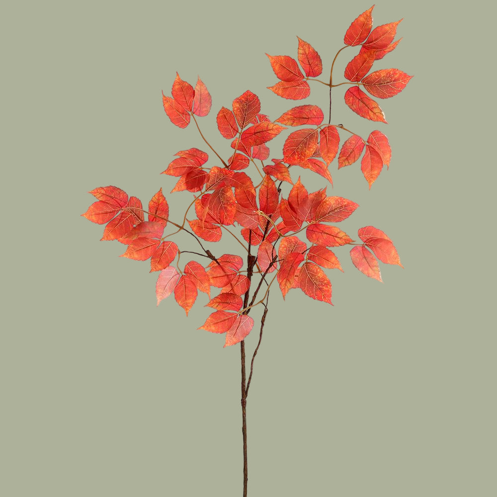 47.5" Virginia Creeper Leaf Spray Rust
