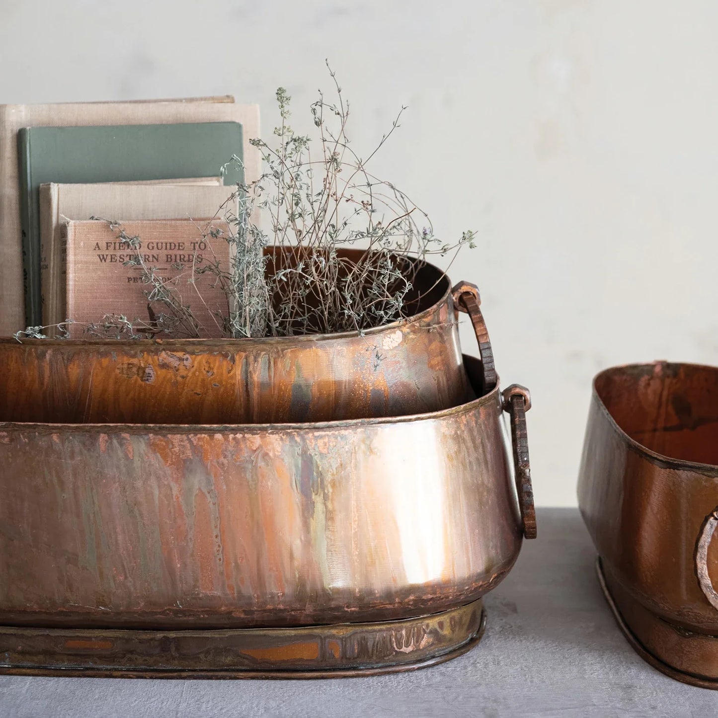 Metal Planter with Ring Handles, Size Options