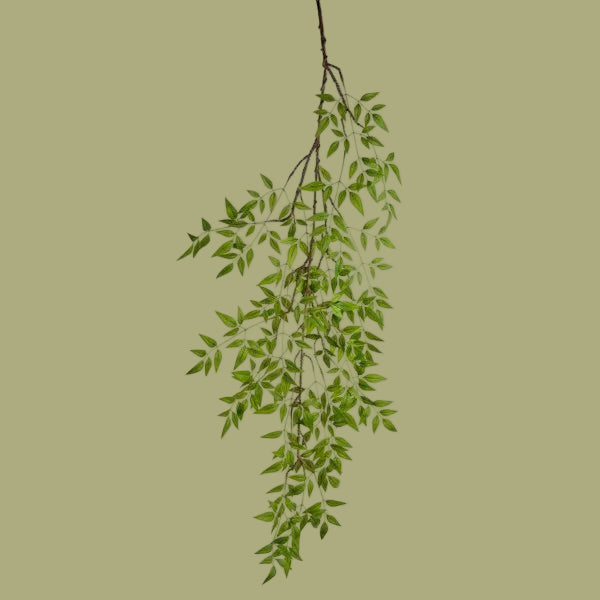 49"L Mini Ficus Hanging Spray