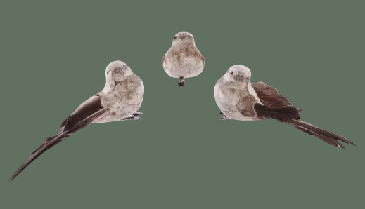 ***Check QTY Seems Off Set of 3 Bird on Clip, 2 Color Options