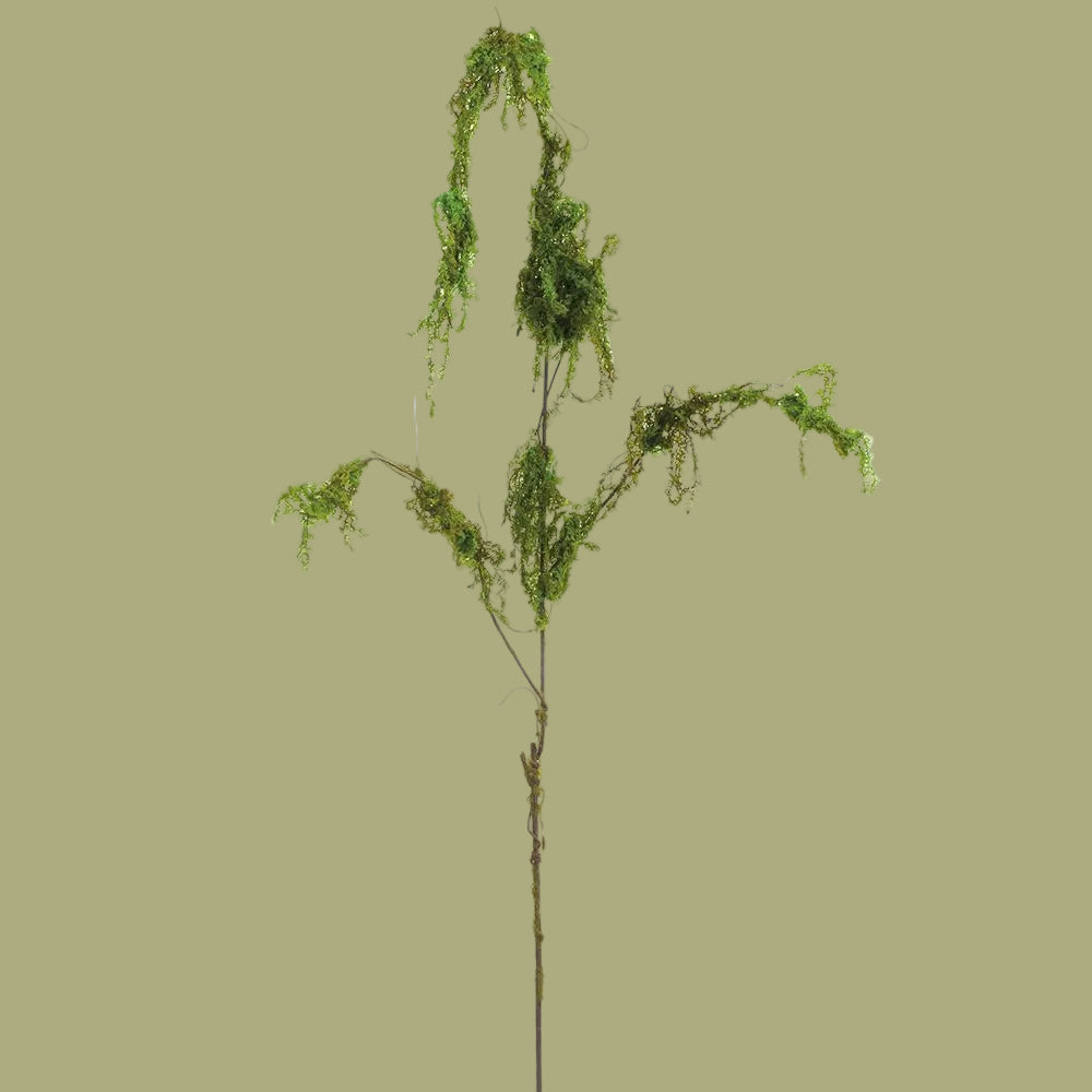 55" Moss Hanging Moss Spray