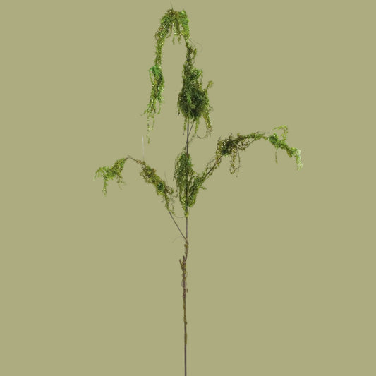 55" Moss Hanging Moss Spray