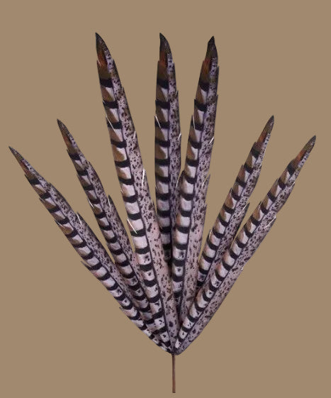 **Check Price 33"L Faux Pheasant Feather Spray