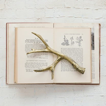 Distressed Gold Cast Iron Antler